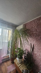 Здам 1к квартиру Полтавська