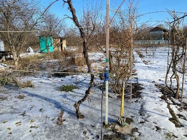 Будинок у сосновому лісі - ваш куточок спокою!