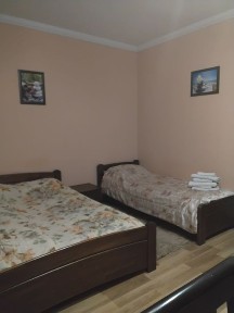 Продам квартиру біля санаторію Сонячне Закарпаття с. ПОЛЯНА 117 м. кв
