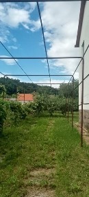 Здається 5- ти кімнатний будинок без меблів на Шахті