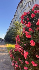 Одеська область, Великодолинське
