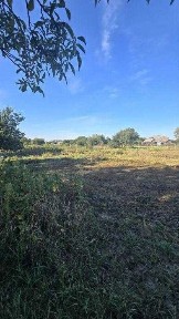 Полтавська область, Тахтаулове