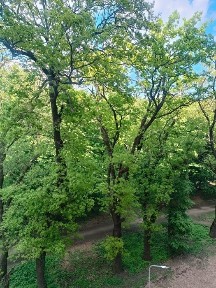 Продам квартиру у новому будинку