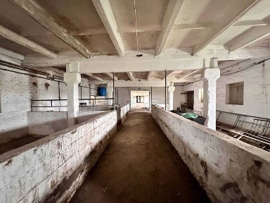 Київська область, Біла Церква
