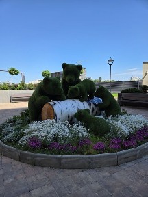 Одеська область, Одеса, Приморський