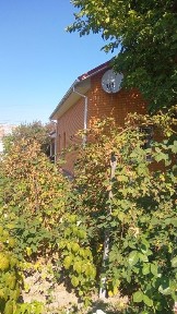 Київська область, Софіївська Борщагівка