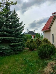 Київська область, Петропавлівська Борщагівка