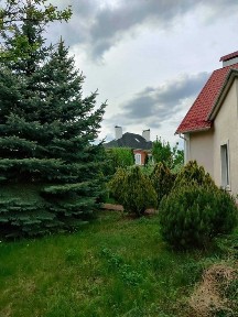 Затишний особняк на 12 сотках у Петропавлівській Борщагівці -комфорт та приватність !