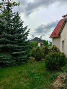 Київська область, Петропавлівська Борщагівка