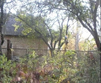 Продам будинок, просп. Берестейський, м. Житомирська, Київ, ліс поруч, транспорт біля входу