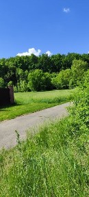 Київська область, Стайки