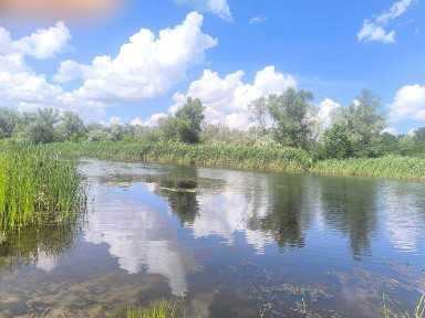 Дача в Обуховке, 5 минут от Орели. Место - бомба!