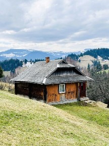 Продаж будинку у горах, с. Довгополе, 85 сот., БЕЗ КОМІСІЇ