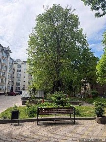 Львівська область, Львів, Франківський