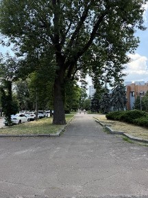 Черкаська область, Черкаси
