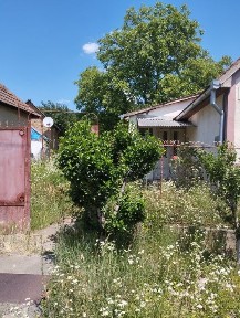 Продам дом Берегово