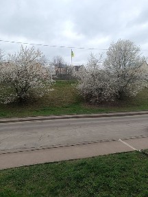 Продаж 3 кімнатної квартири в Трускавці