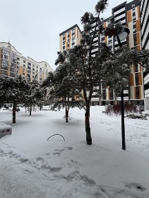 Київська область, Ірпінь