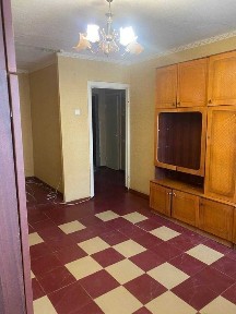 Дніпропетровська область, Дніпро, Центральний