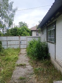 Чернігівська область, Зайці