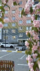 1-кімнатна квартира 38.8 м2 ЖК Всі Свої