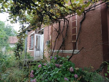 Продається будинок в затишній місцевості - с. Гут Берегівського району неподалік із запланованим будівництвом термального оздоровчогокомплексу