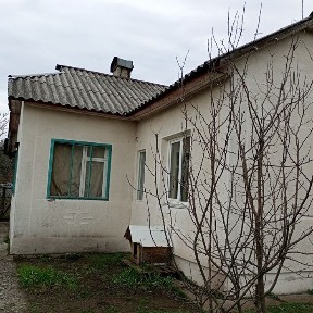Київська область, Лебедівка