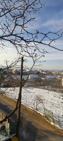 Львівська область, Муроване