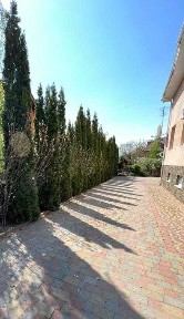 Закарпатська область, Ужгород