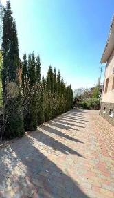 Закарпатська область, Ужгород