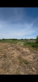 Продаж приміщення вільного призначення, колишня ферма в с. Горохолина, Богородчанського району