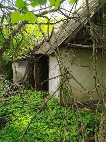Київська область, Іванків