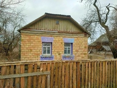 Продаж будинку село Прибірськ Іванковський р-н