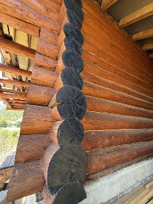 Закарпатська область, Міжгір'я