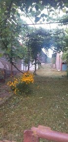 Продається будинок із земельною ділянкою в с. Циганівці