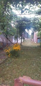 Закарпатська область, Циганівці