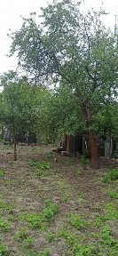 Приватний будинок з садом та городом