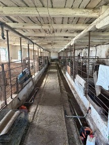 Ферма на продаж - готовий комплекс для тваринництва