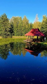 Будинок, 150сот. власне озеро с. Здорівка Васильківський Київська обл.