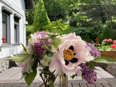 М. Олімпійська 5хв. ЦЕНТР ПРОТАСІВ 250м. 20 соток