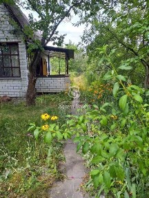 Киевская обл., Барышевский район, с. Власовка, СТ Буревісник-4, 4