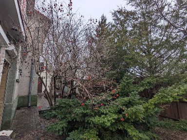 Сдам загородный дом с. Приднепровское