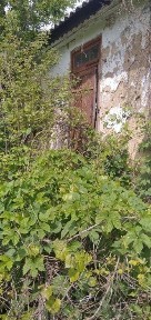 Вінницька область, Садове