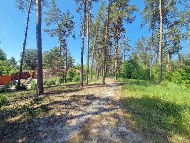 БЕЗ%! Таунхаус- будинок, квартира, прямо біля лісу! Київ- 15хв. ! Поруч 
