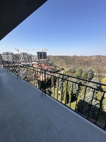 Закарпатська область, Ужгород