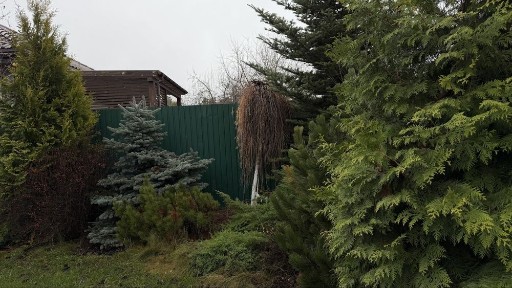 Хотянівка, енергонезалежний будинок біля річки та лісу