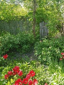 Продажа дома 65 м², Павла Тычины ул., 34