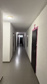 Київська область, Софіївська Борщагівка