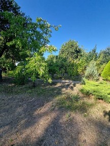 Дніпропетровська область, Дніпро, Індустріальний