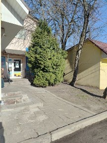 Київська область, Васильків